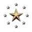 Bright Star Republic